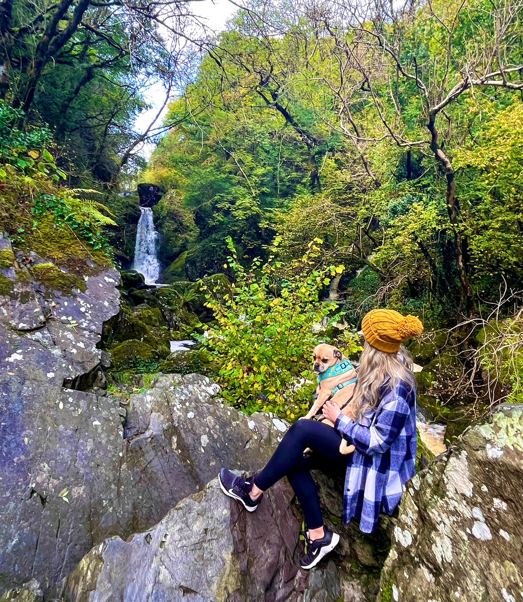 AJ_makeup's tweet photo. Lovely day spent at Devil’s Glen today! Gorgeous hike with the boys 🐶🐶🌳#Wicklow #DevilsGlen #HikingIreland https://t.co/557Op2I98V