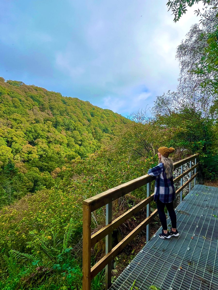 AJ_makeup's tweet photo. Lovely day spent at Devil’s Glen today! Gorgeous hike with the boys 🐶🐶🌳#Wicklow #DevilsGlen #HikingIreland https://t.co/557Op2I98V