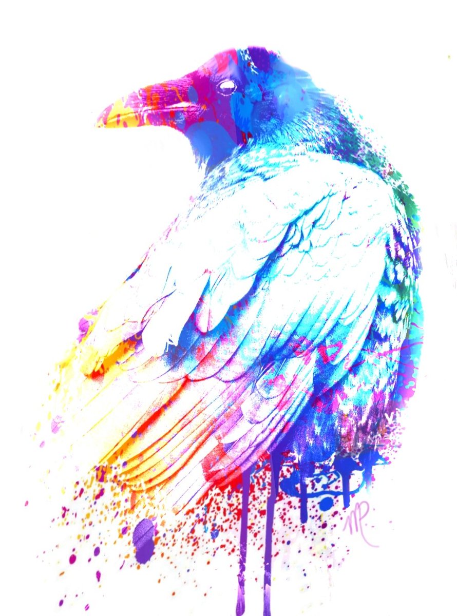 mpenningtonart's tweet photo. Some artwork I've worked on over the last couple of weeks. Besides skulls, I love Ravens...and color 🎨

#digitalart #watercolor #acrylic #digitalpainting #Raven #artist #artshare https://t.co/YFo7fKTd3R