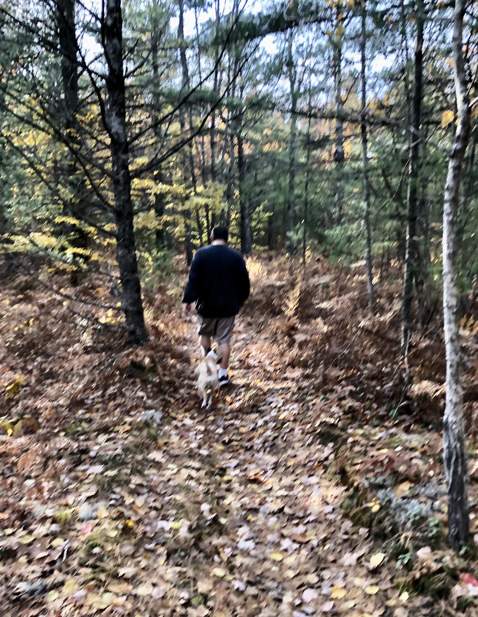 Lisa Jo Gagliardi, LJ Gagliardi, LLC tweet media