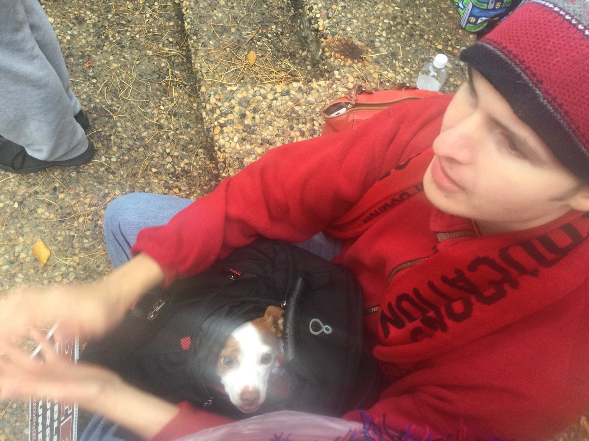 kiki66kat's tweet image. Bandit was much warmer in big brother’s backpack. #Rally4Ed #EqualAccessForAll #StandForEducation #publiceducationmatters  #RedForEdAB  #Red4EdAB #abed @albertateachers