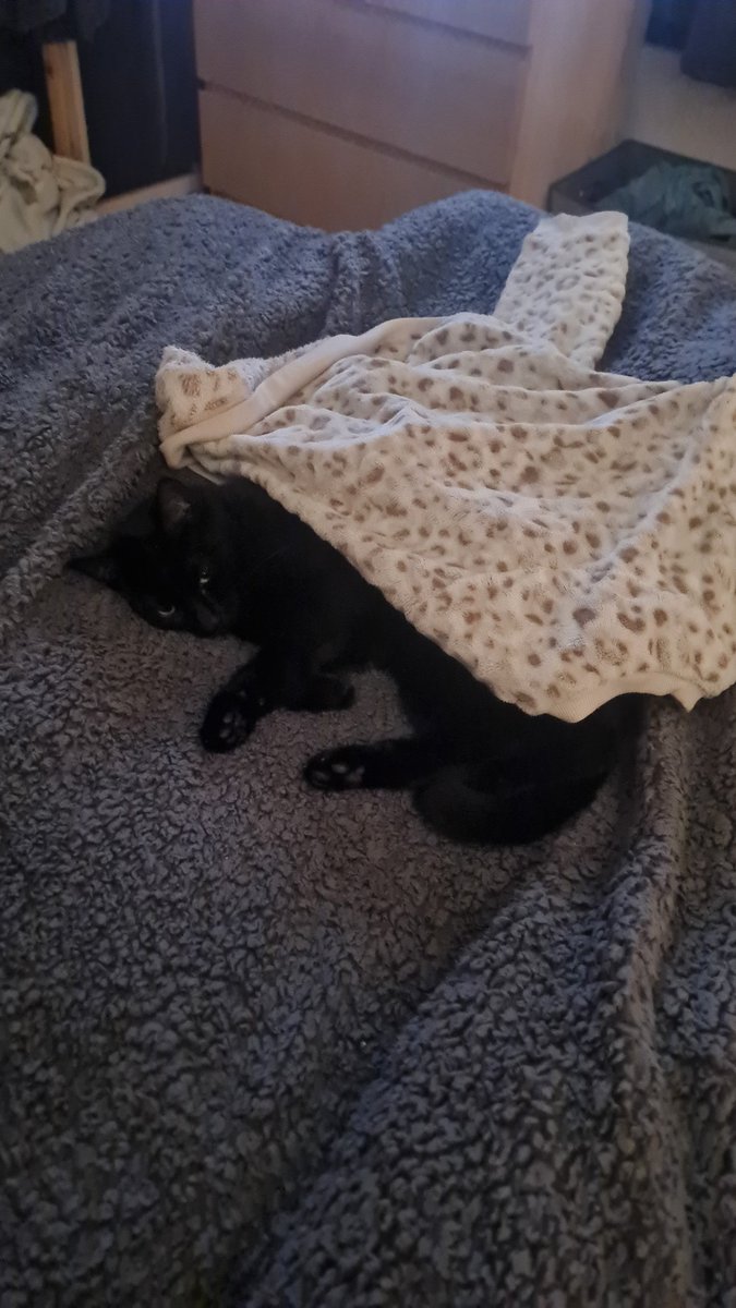 Jen @ DizzyWix 🍺🕯⚫️⚪️ tweet media