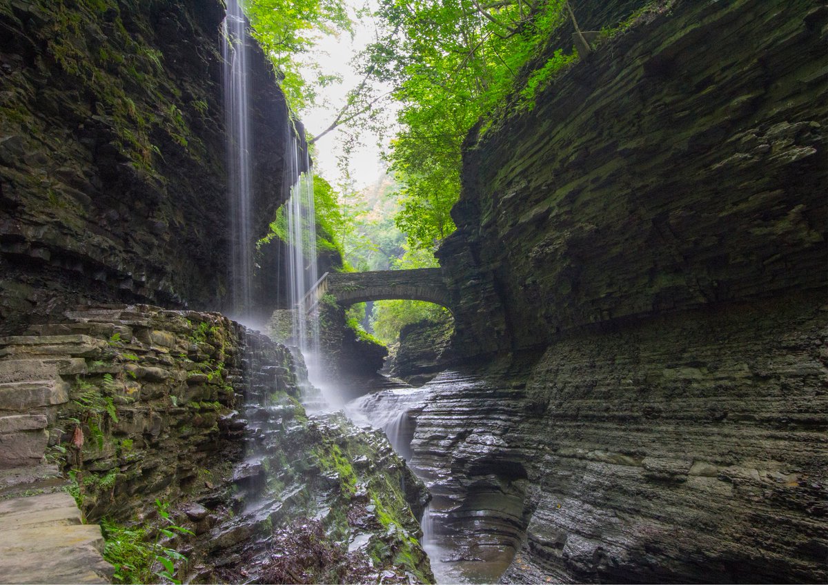 Anyone would be amazed by the waterfalls and gorges in Watkins Glen State Park.

The Gorge Trail boasts nineteen waterfalls plunging through a spellbinding natural gorge, complimented by exquisitely crafted man-made stone staircases and bridges. 

#watkinsglenstatepark #besthikes
