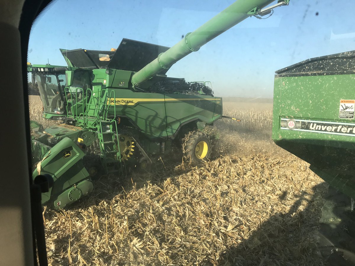 rk048's tweet photo. Buggy operator today. https://t.co/eLUW4HRuNl