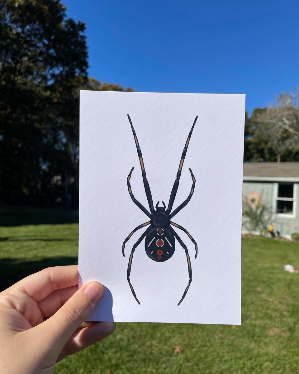 forestbugart's tweet image. new prints are live on the shop!!
introducing 5"x7" prints of....
🍃🌸 jeweled flower mantis 🌸🍃
🦷💥 molar tooth 💥🦷
🕷🕸 southern black widow 🕸🕷
available NOW for $8 each with FREE US shipping ($5 international)! go check 'em out!