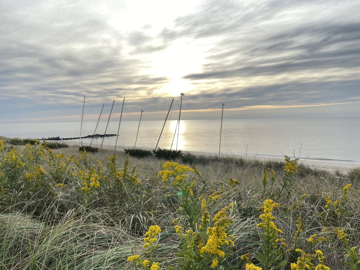 scott_watson's tweet photo. Fall vibes at the shore 😊
#CapeMayNJ #ExitZero #Townbank https://t.co/NuyqsbQLzQ