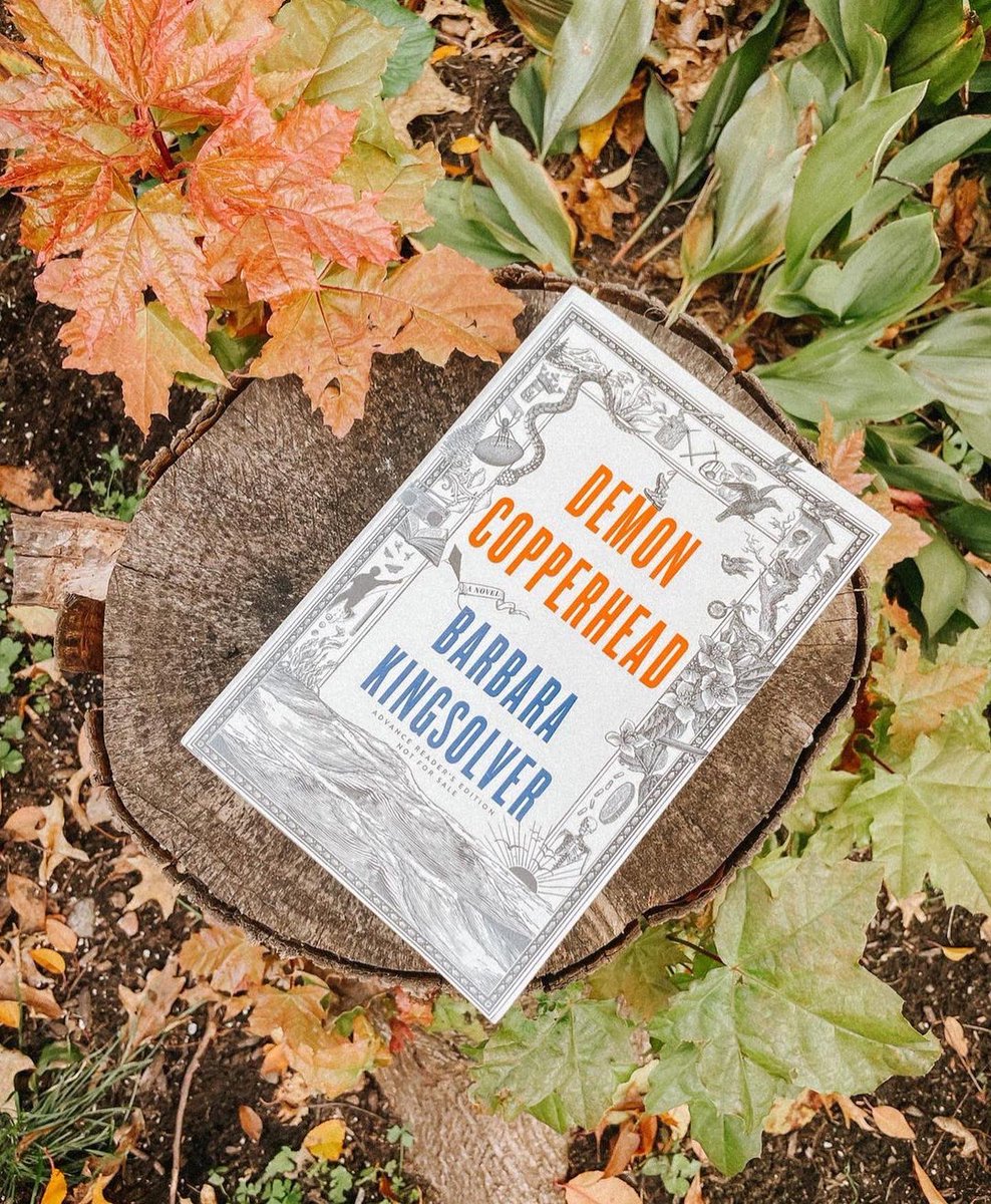 We love seeing the beautiful 'Demon Copperhead' in our beautiful readers' hands! How are you enjoying Barbara Kingsolver's Appalachian epic so far? #ReadWithUs 📸: @readwithtoni 📸: @reading.with.my.goldens 📸: @lemuriabooks 📸: @ashleyyy.reads