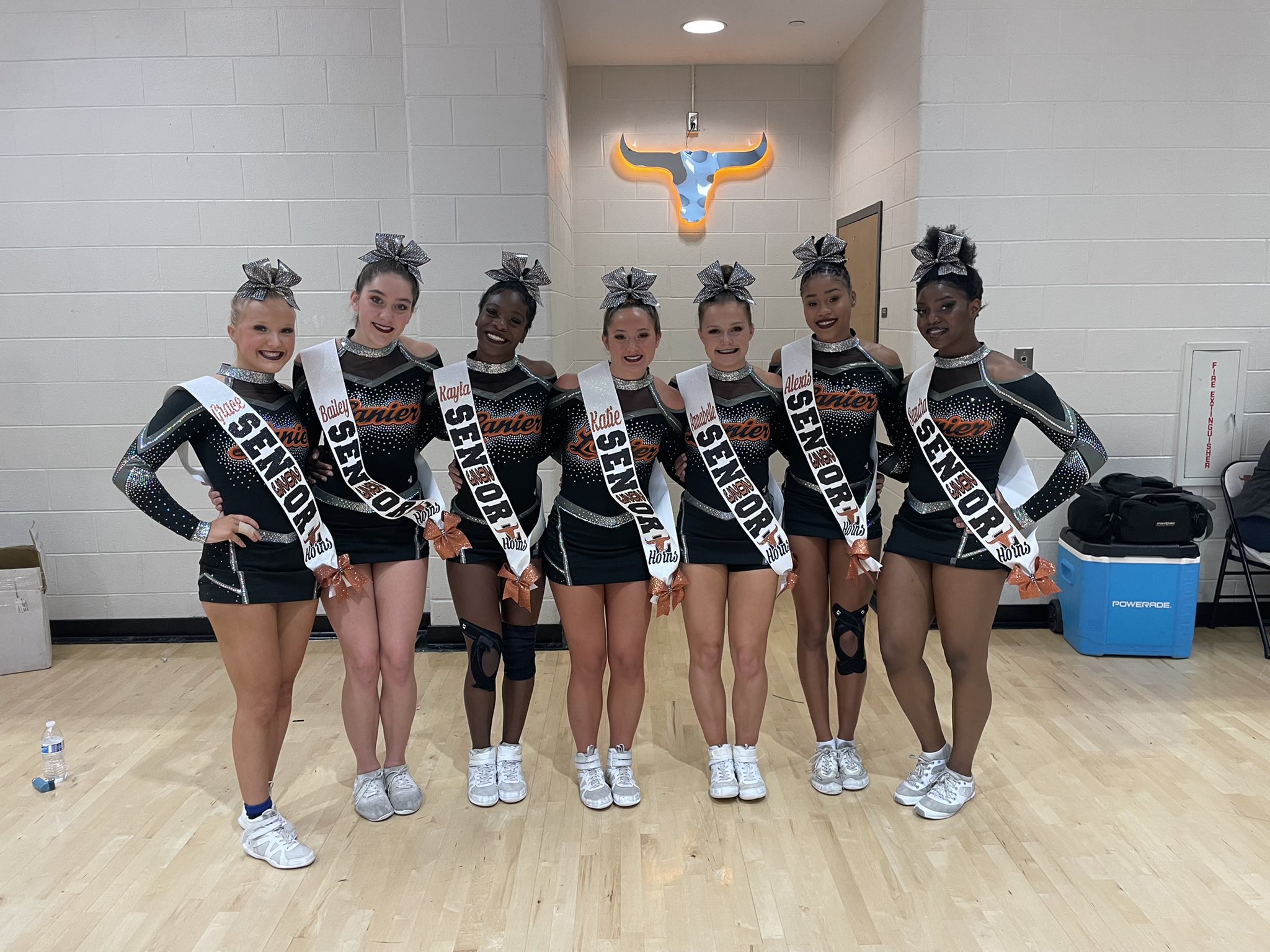 Gwinnett cheerleading teams shine at sectional, region competitions, Sports