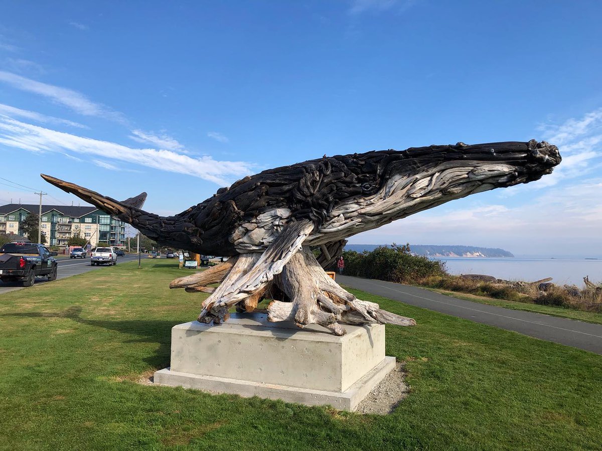 CRAT_Operators's tweet image. The new resting place for our giant driftwood whale, Ken Forde Park Willow Point.  This enhancement project will see a full lighted see garden, new signage and high powered binoculars to watch the whales feeding out the front of the Park.  @Comox_Valley  @DstnThink @wilhelmus