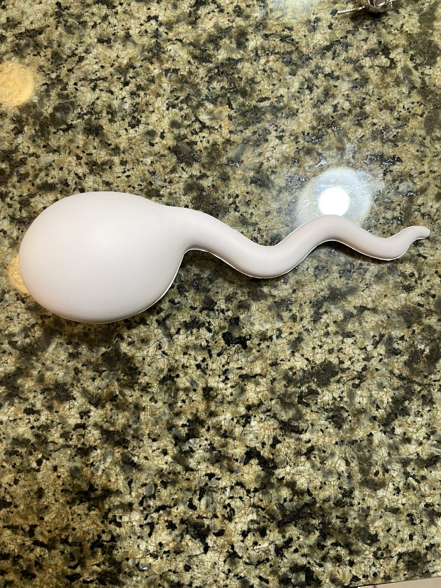 ayeitsrayy's tweet photo. i find it v fitting and funny that i drove 20 hours across the country to vibe and make memories and THIS is the freebie that i won 💀 @hard_jewelry @williamvelazqu https://t.co/0pfvLwTvnX