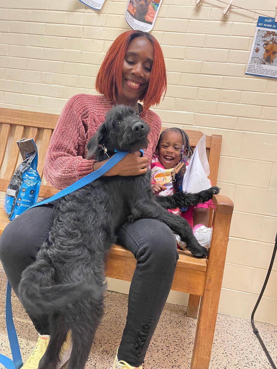 “Pets are humanizing. They remind us we have an obligation and responsibility to preserve and nurture and care for all life.” Here are some of this week's adoptions!