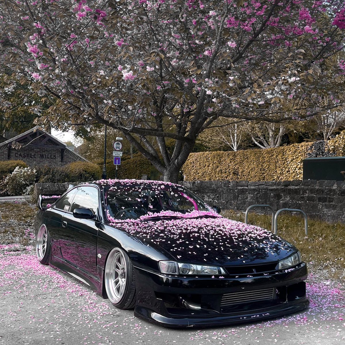 CosmisUsa's tweet photo. 🌸 @tomwhitfixld's S14 on hyper silver XT-206R 🌸
#cosmis #cosmisracing #cosmiswheels #comsisusa #wheels #wheel #fitment #nissan #240sx #s14 #kouki #s14kouki #schassis #sbody https://t.co/0NIIJMaMah