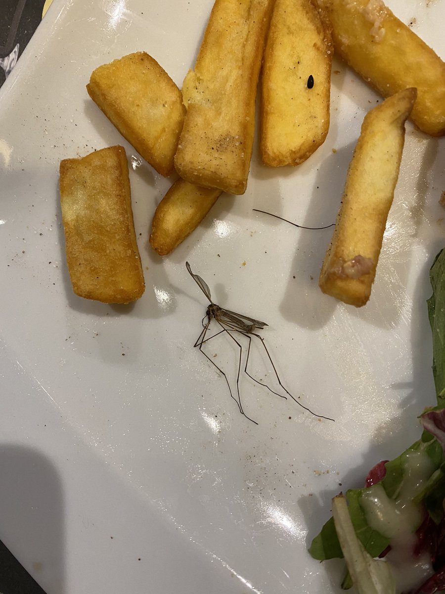 Caroudoudou's tweet photo. Sinon elle était cool vous, votre soirée ? 🤢 https://t.co/hnlY4SFEOZ