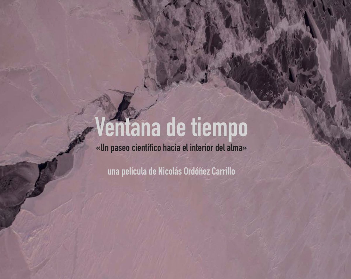 Nicolás Ordóñez tweet media