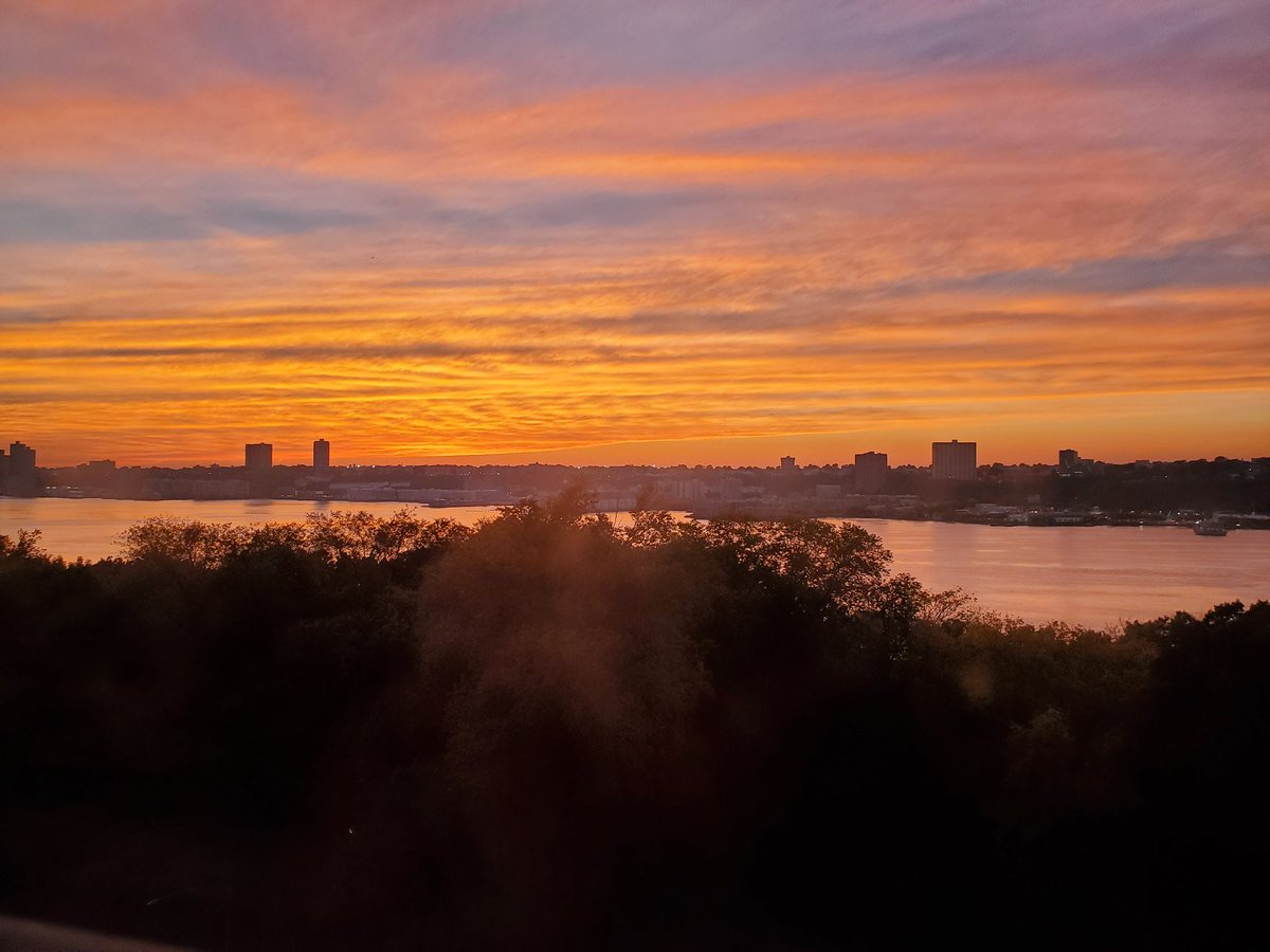 Paul-Gabriel Wiener 🐼🎙️💉💉🅾️😷 (@hataroni) on Twitter photo 