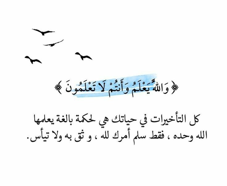 Nou®️✨ (@nour_abd99) on Twitter photo 