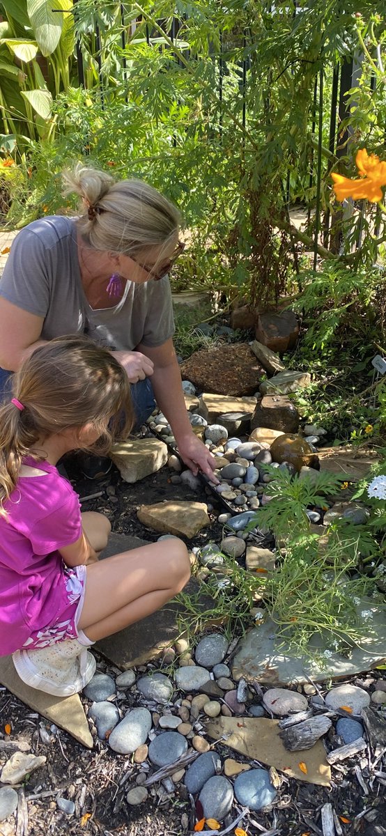 fultondl7's tweet photo. So happy to see our students get to spend time with our AMAZING OSE volunteer gardener. Super fortunate to get to enjoy her expertise and dedication daily. What an impact she’s making in our little corner of the world! #osestars #onelisd #scienceteacher #stemed #schoolgardens https://t.co/lcpzhyTUgR