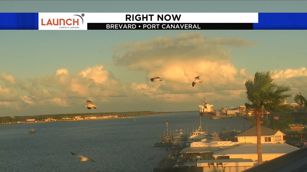 CokinosSamaraWx's tweet photo. The golden hour at the coast. Love the glow. It's so pretty. #news6 #PortCanaveral #clickorlando https://t.co/penV4YzyF3