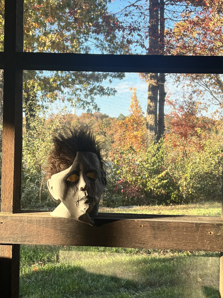 Kasey Zimmerman tweet media