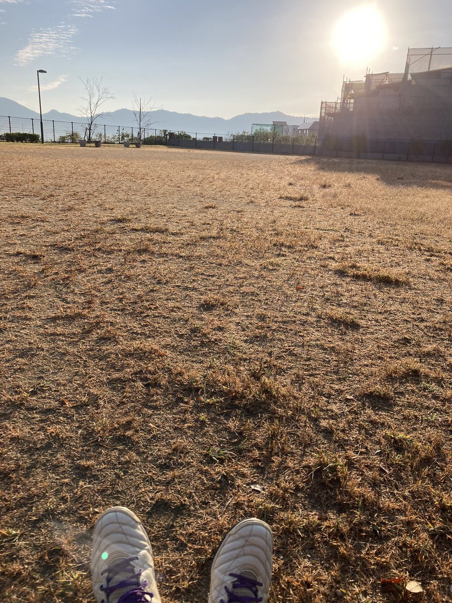 しろやす tweet media