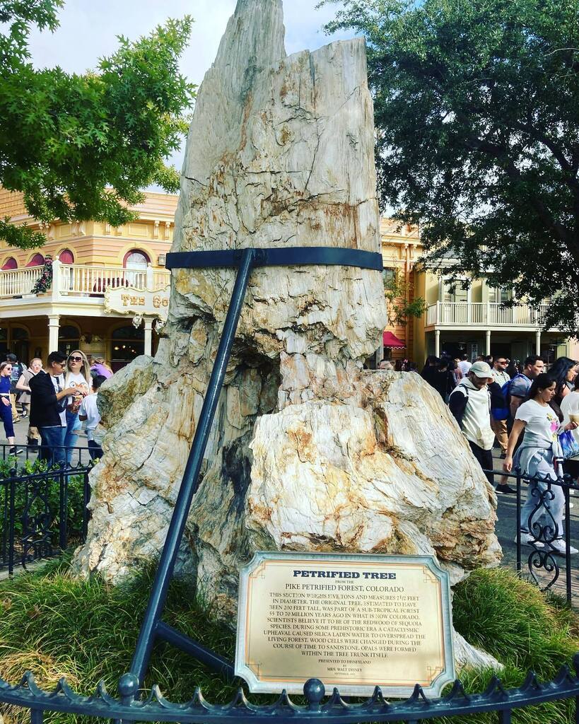 INTERCOT's tweet photo. A rock solid gift idea.
#Disneyland #Halloweentime #HalloweenTime2022 #LiveFromDisney https://t.co/AuoQRLFuWu https://t.co/ce3QZpGDWr