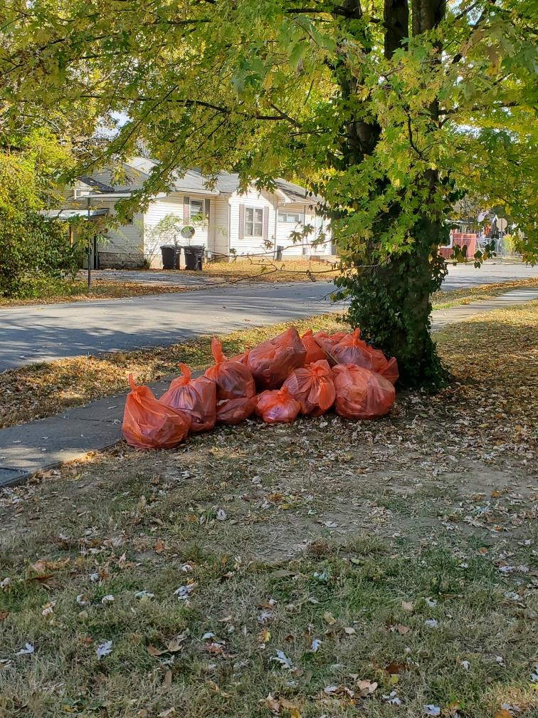 KeepCB's tweet image. SHOUT OUT TO SIU RUGBY CLUB! MADE A HUGE IMPACT CLEANING UP NEAR THE BUCKY DOME TODAY !! 👀👀📢📢👏👏👍🌳