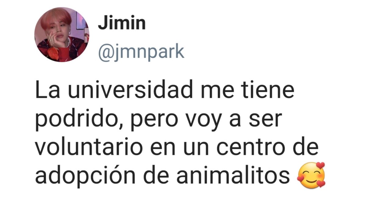gcfjkmn's tweet photo. kitties - km mini au

Cansado de la universidad, se apunta como voluntario en un centro de adopción. No contaba con que aparecería un astuto pelinegro que terminaría pidiendole su número de teléfono https://t.co/9ITFDhJ07I