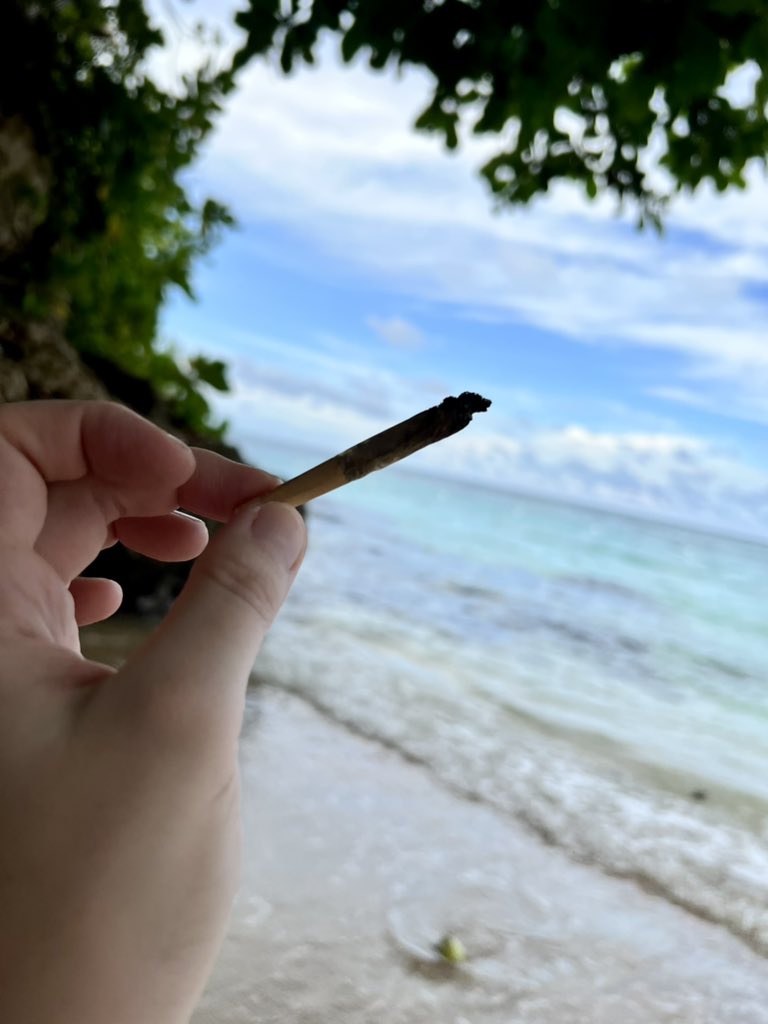 Nightingale🥀 tweet media