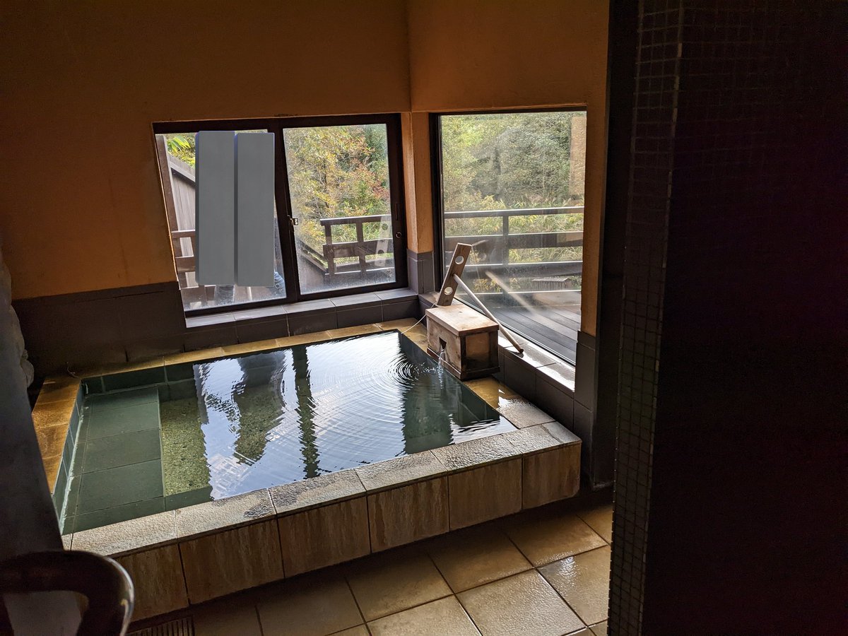 kamesekiryu's tweet photo. 自分たちは今年は　水草
掘り炬燵と外に壺湯が付いてる部屋 https://t.co/qIy7i2svxK