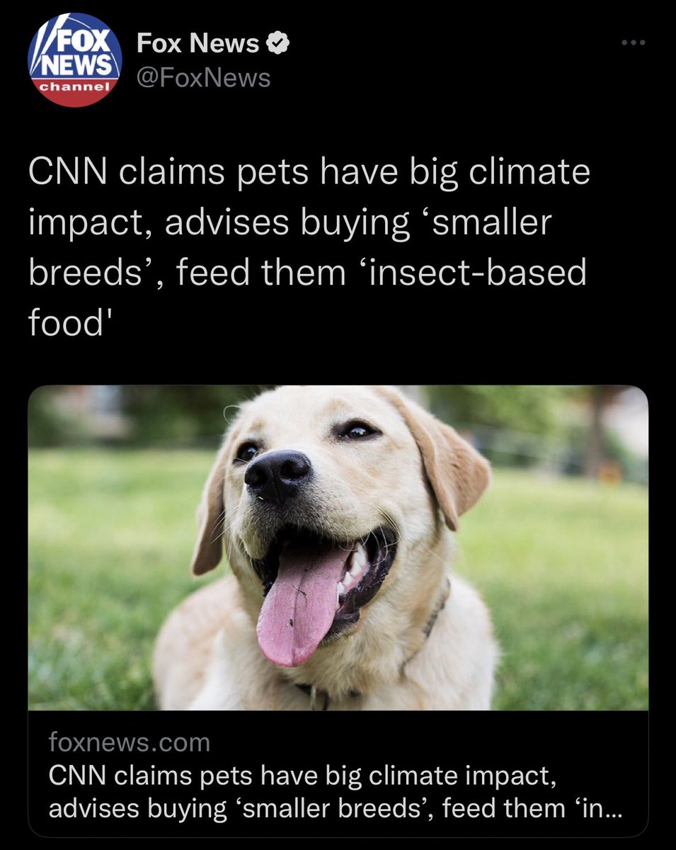 cwt_news's tweet photo. 🤡🌎 https://t.co/1x7HIzhA2j
