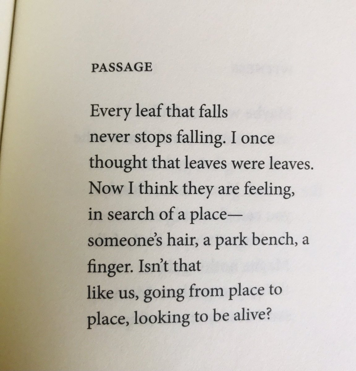 Elisabeth Adwin Edwards tweet media