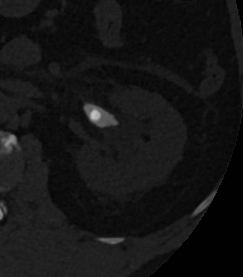 Daniel A. González-Padilla tweet media