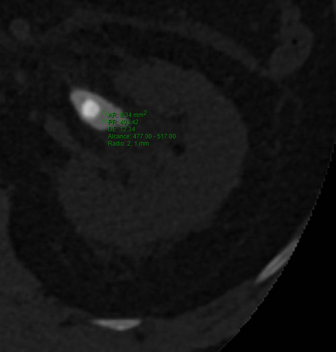 Daniel A. González-Padilla tweet media