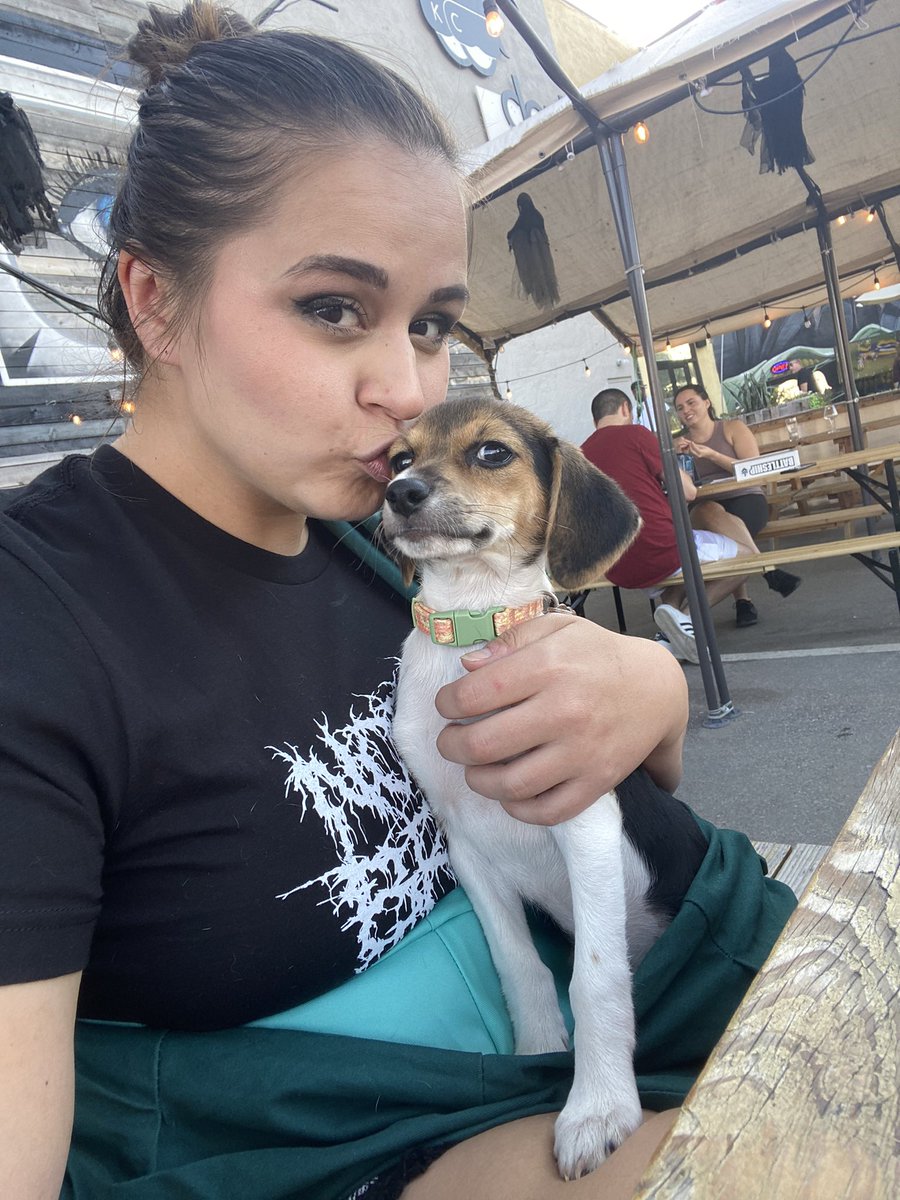 Katie Camlin tweet media