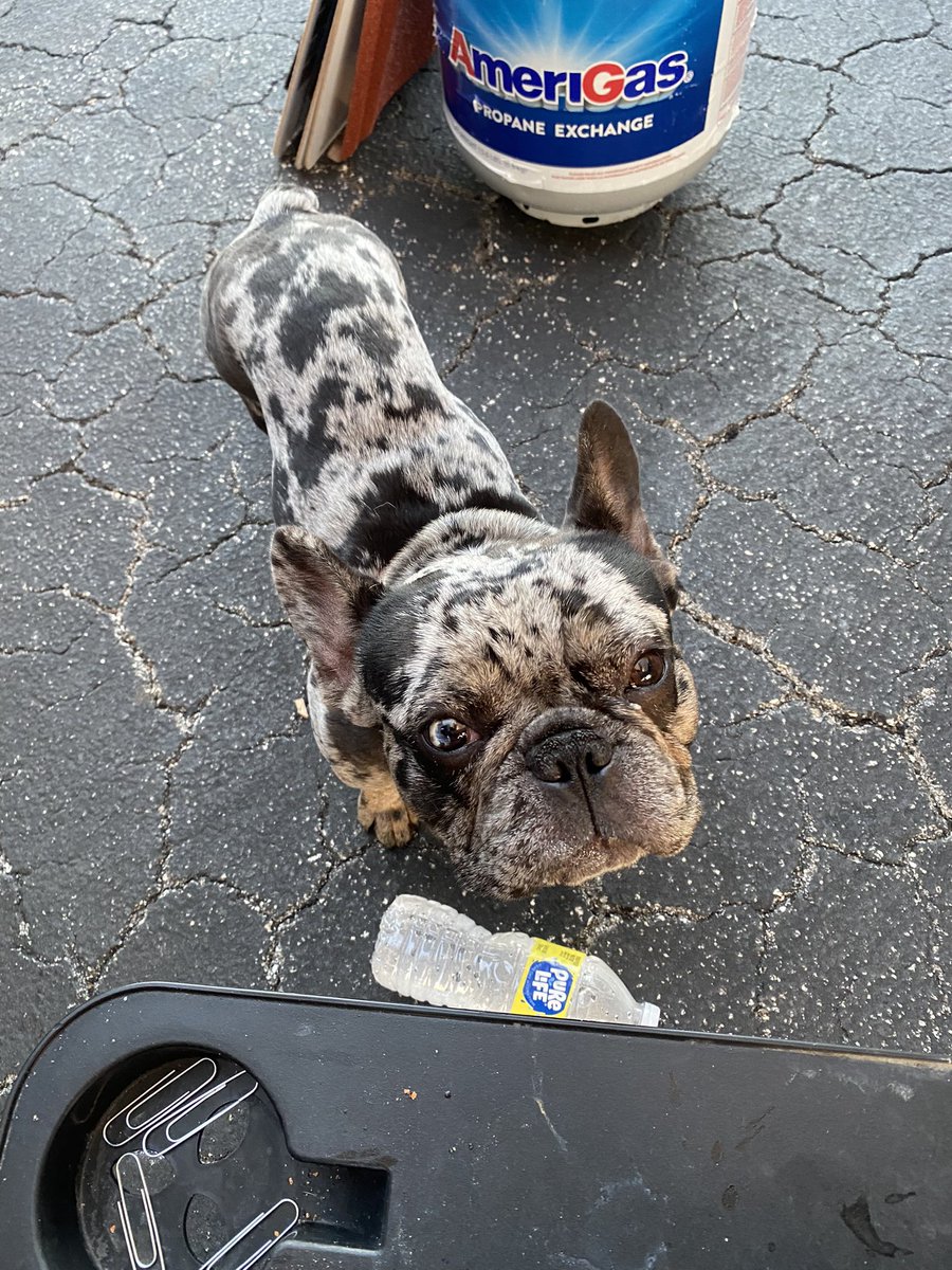 TX Tornado Crypto tweet media