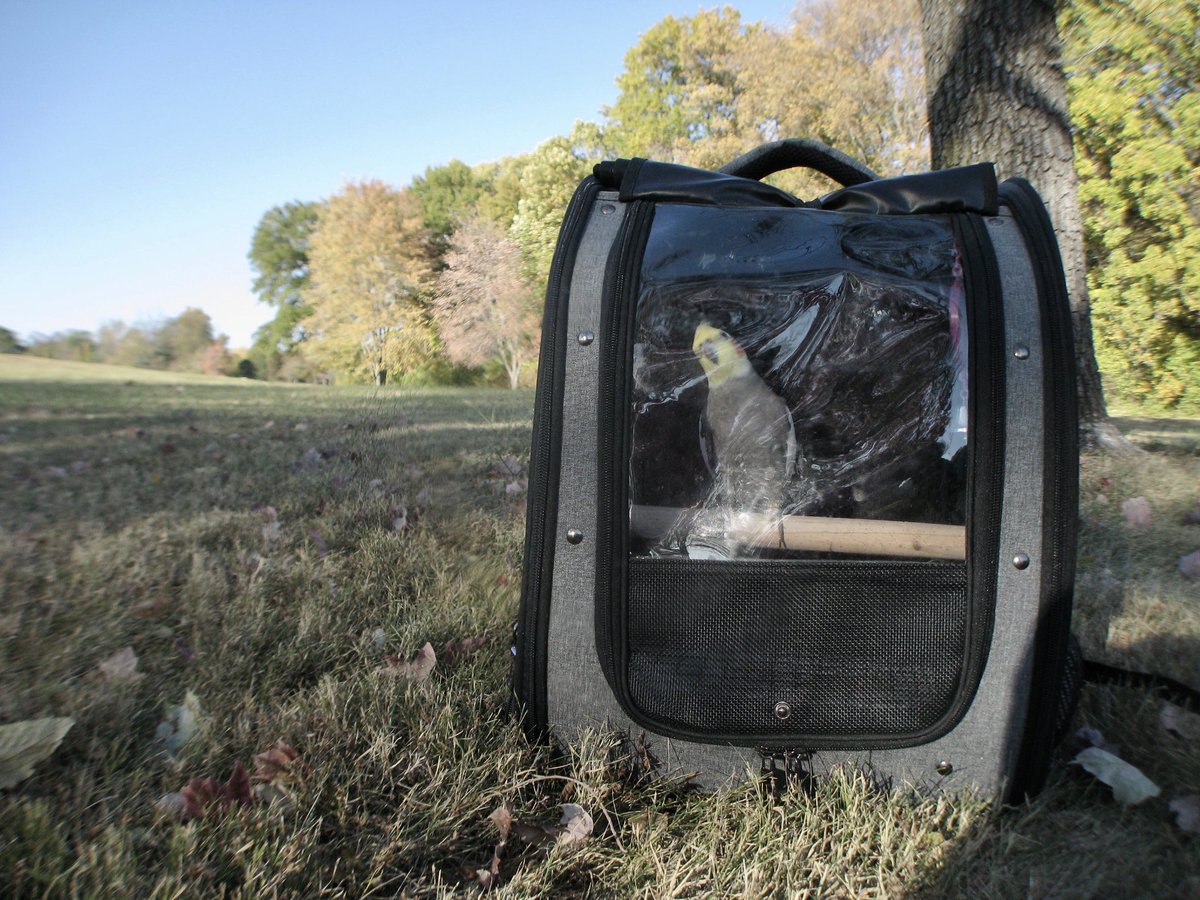 We went for an adventure today. Apparently the weather was very nice so we visited park.