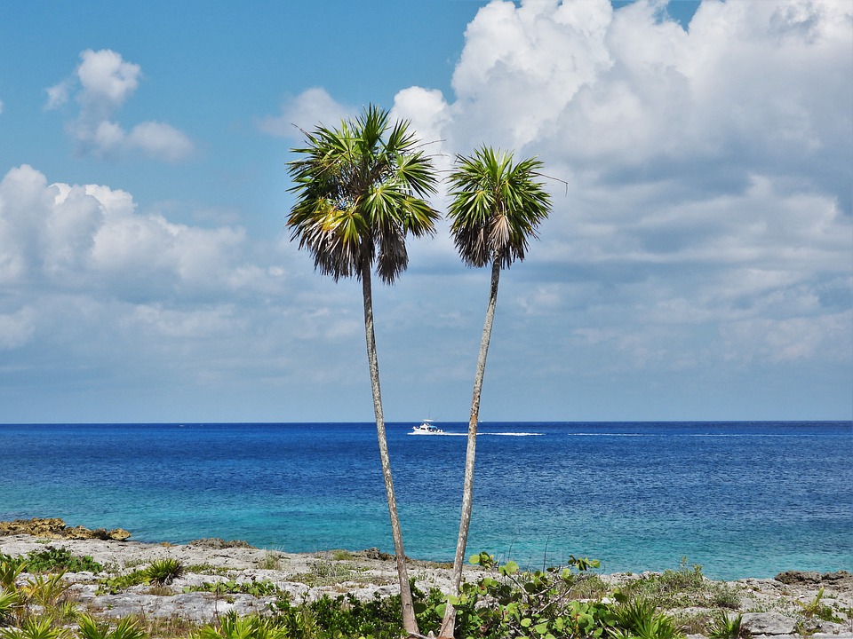 TripaeDotCom's tweet photo. Cozumel (Mexico)

#travel #airticket #hotel #cozumel #mexico #photography #travelphotography #airtickets #hotels #cozumelmexico #airticketagent #vacation https://t.co/BEWGx8T8ZK