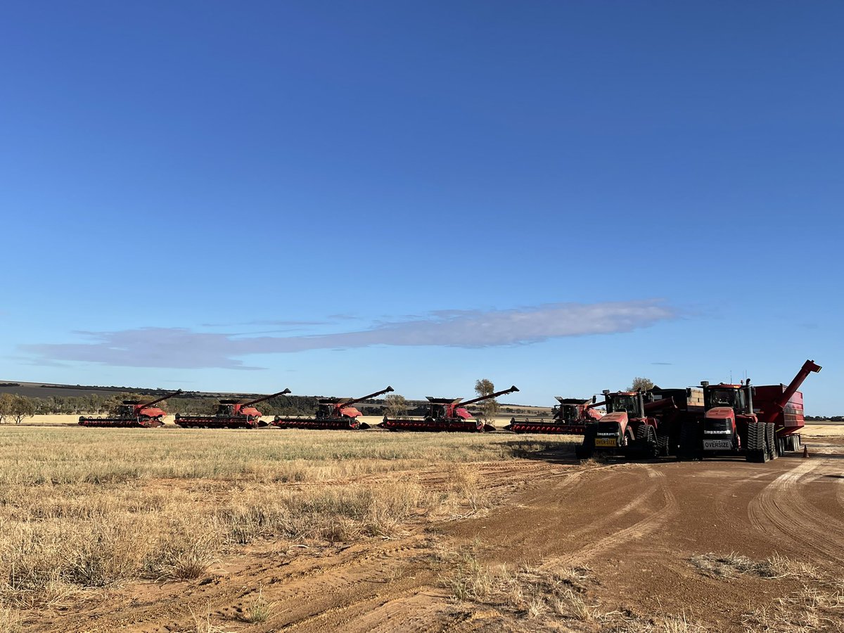 Rod Messina tweet media