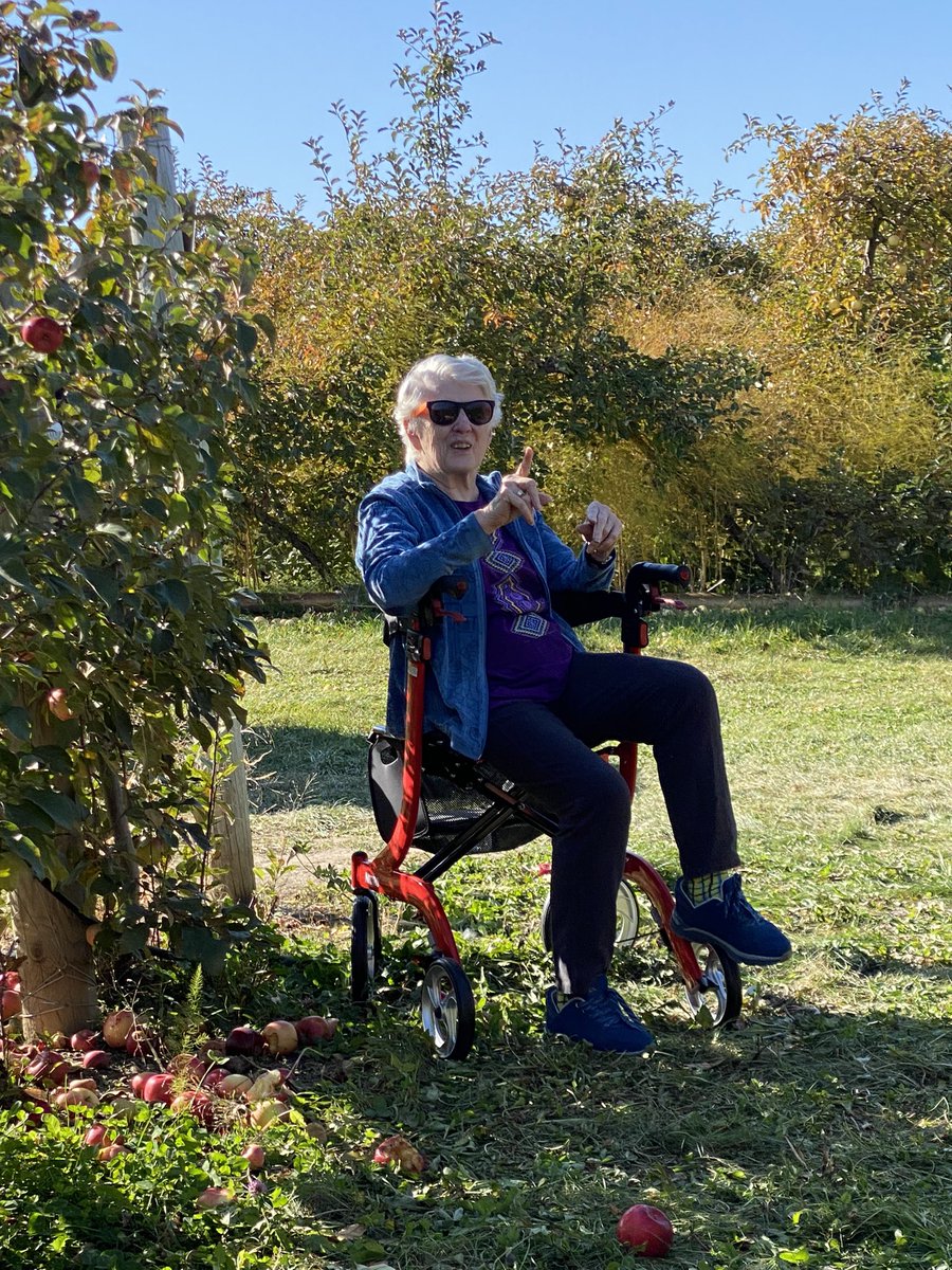 Apple picking adventure.  Mom said “you pick. I’ll sit.”   I told her I promise I would hold the ladder for her and she truly laughed herself silly.  #dementia #creativecare