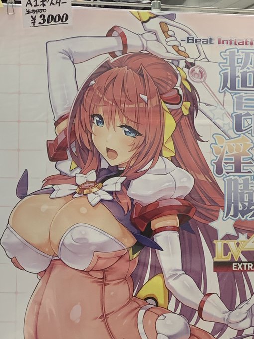 頒布のポスターに折れが発生してしまいましたので3000円にお値引きさせていただきます。 