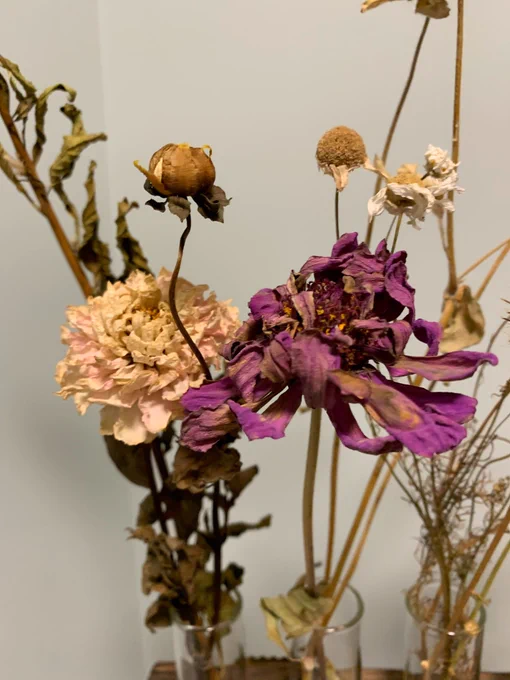 Made some dried flowers from mom's garden 