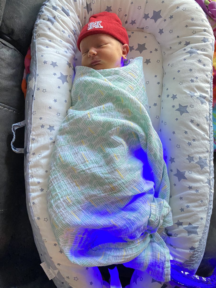TSchultz27's tweet photo. Jackson is home just in time to watch his first @Huskervball game! 🏐❤️@Huskers #Big10BlockParty #GBR #VolleyballSchool https://t.co/CSq2lsM0ep