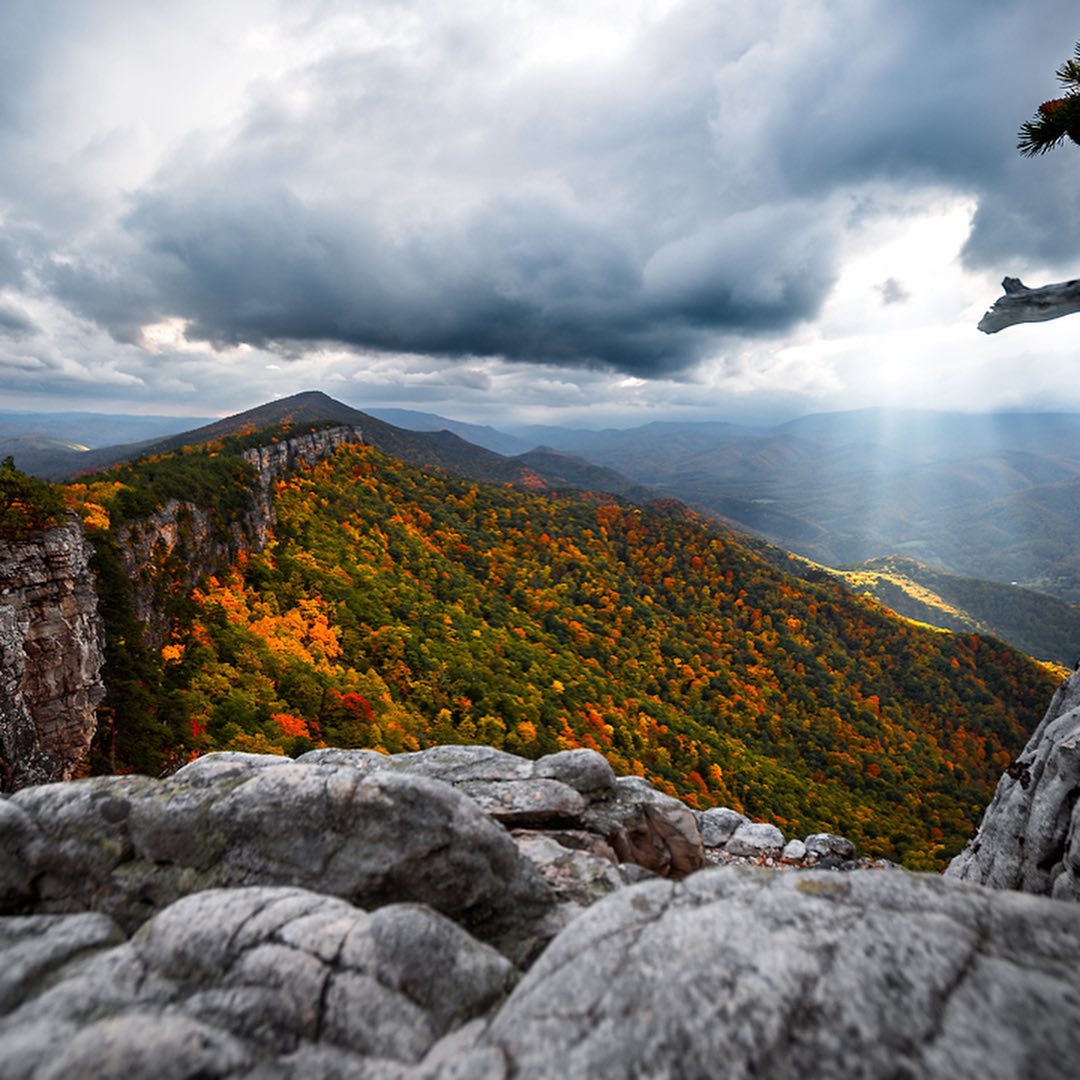 WVtourism's tweet photo. Rolling hills as far as the eye can see. 

📸: https://t.co/HGnoc6xLGP
📍: North Fork Mountain Trail https://t.co/cOYtDEEsM1