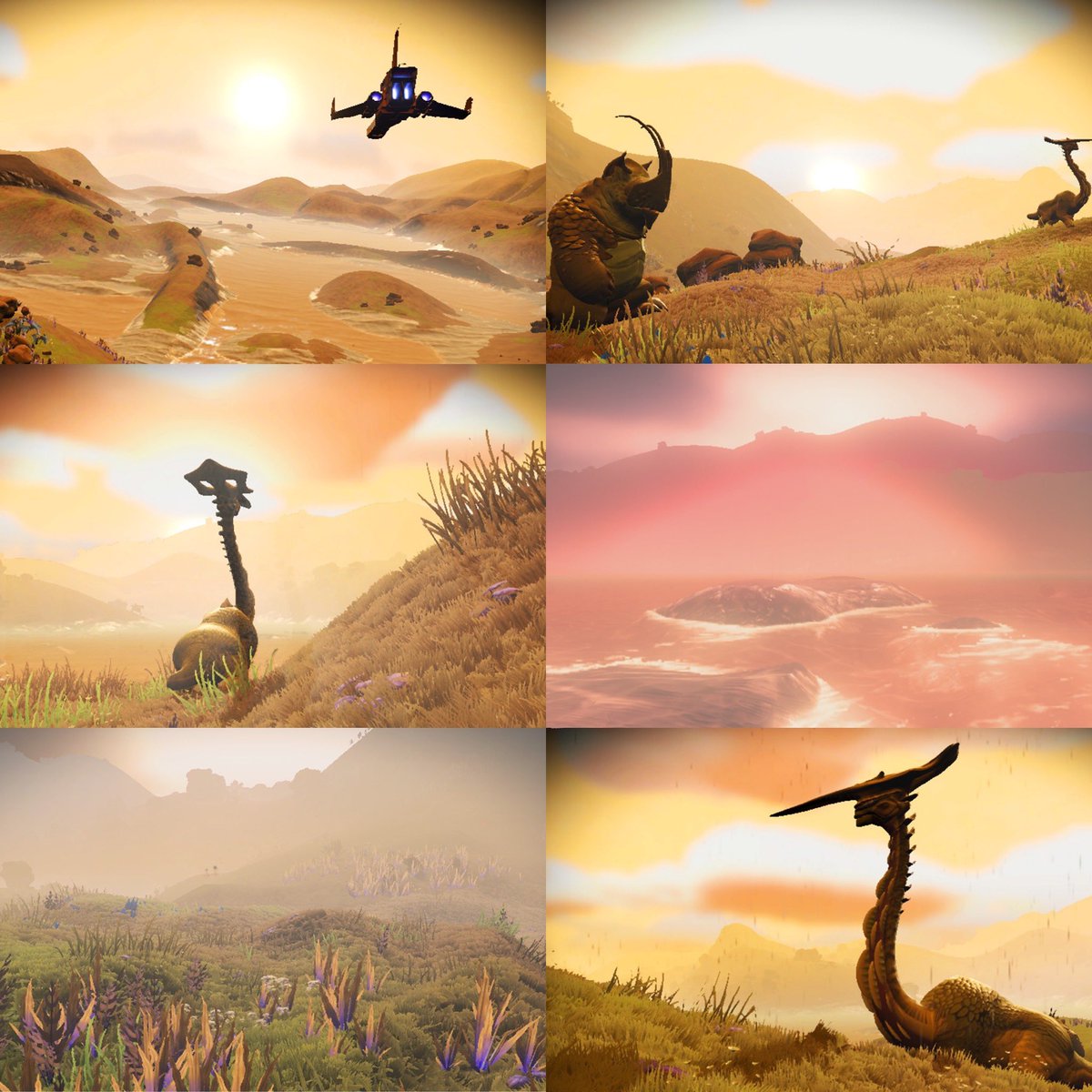 BillyMagma's tweet photo. Two tasty planets in the same solar system: #NoMansSky #NintendoSwitch https://t.co/oS6cf05ZTb