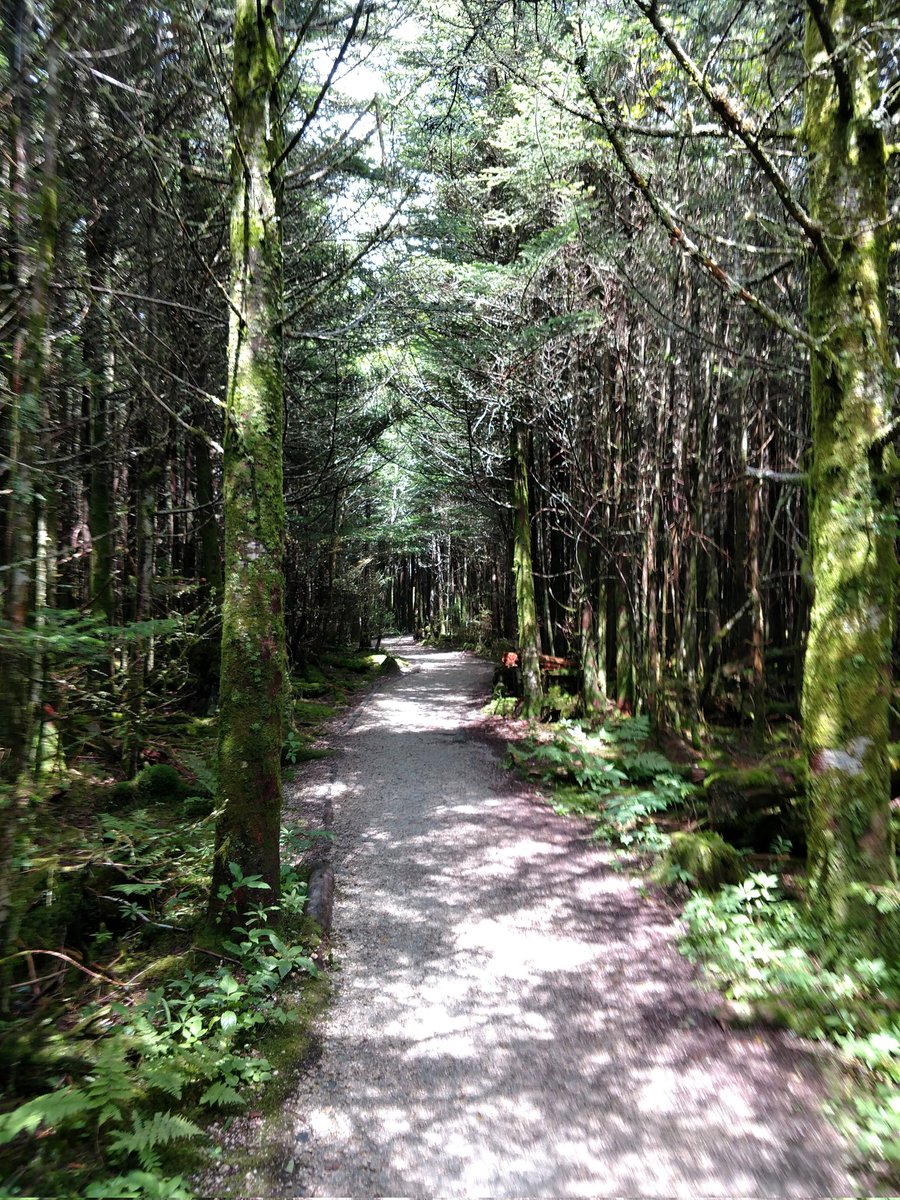 rayne_britt's tweet photo. @hikingwithshawn Hard call but I'm going to say Mt. Mitchell. https://t.co/2J20o96e4c