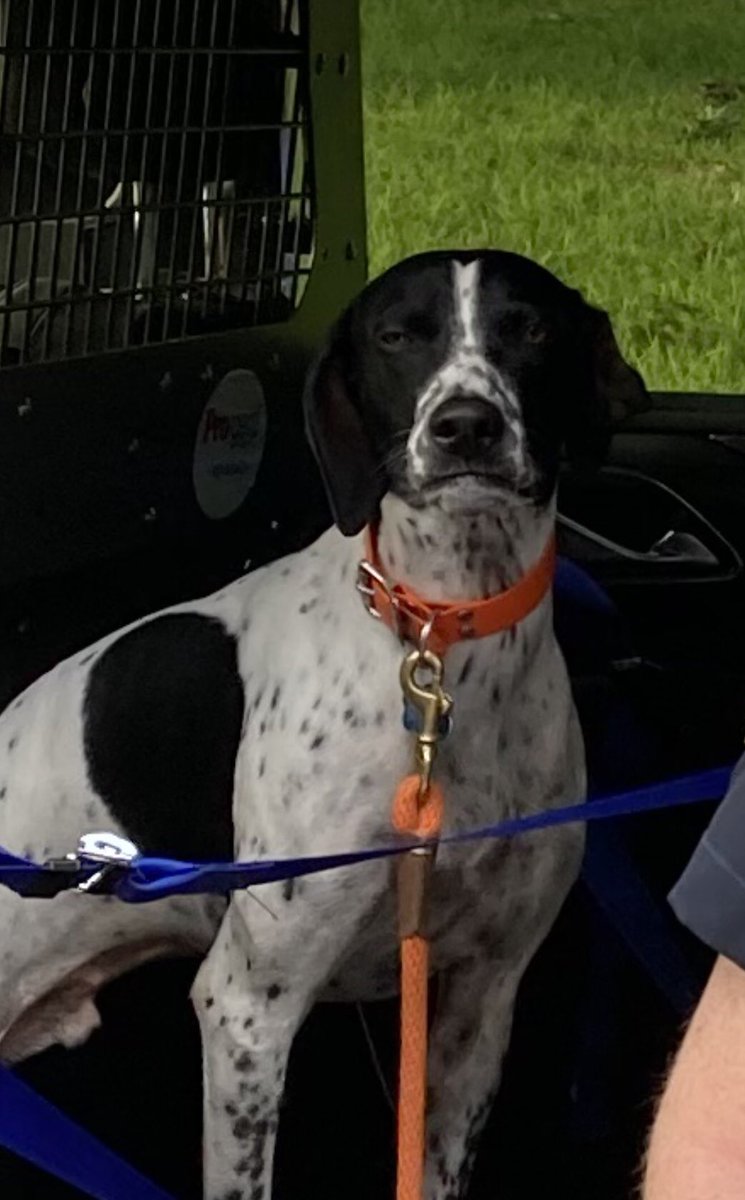 Melanie Gable tweet media