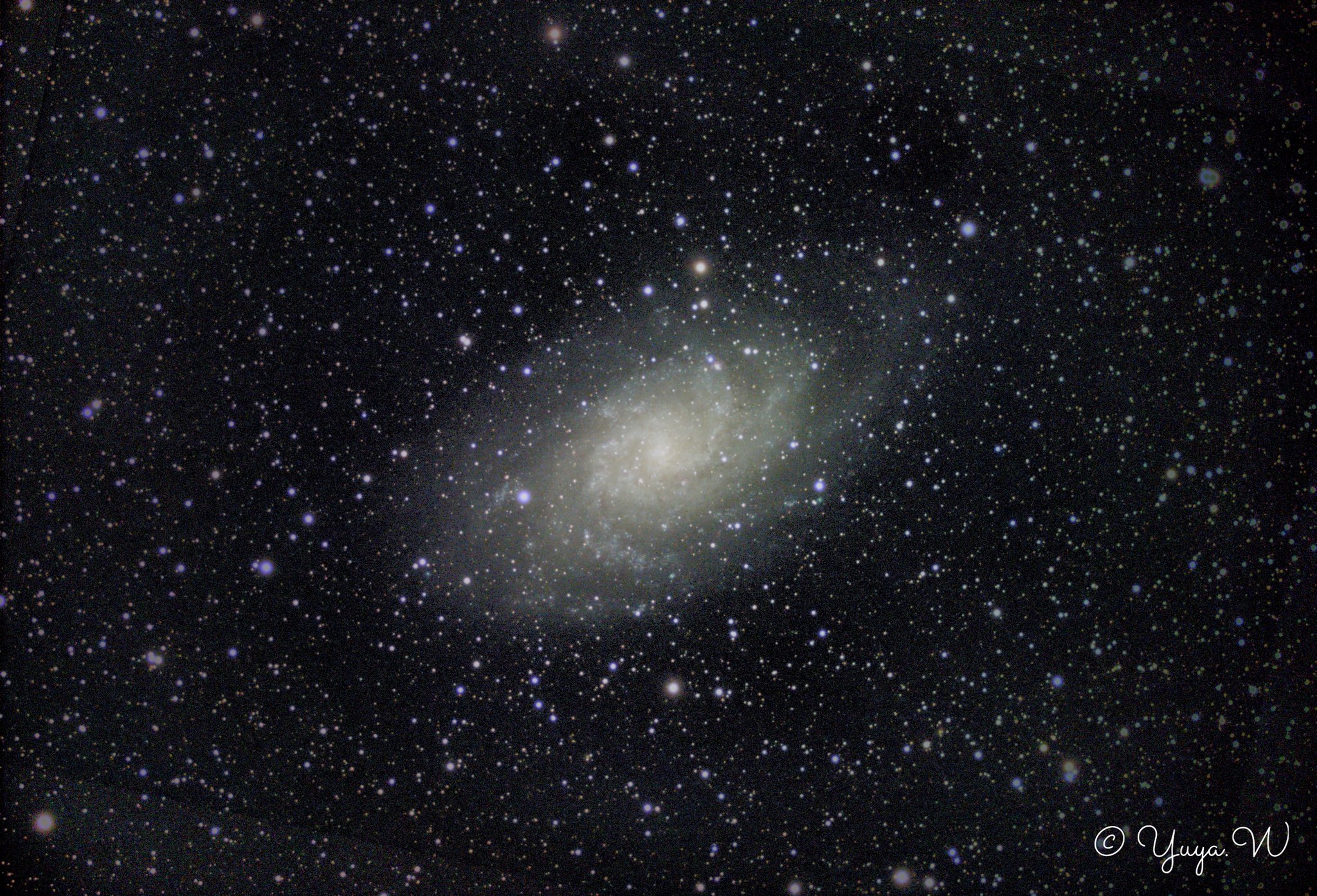 わたなべ@なべちゃん (@93yuya) / X