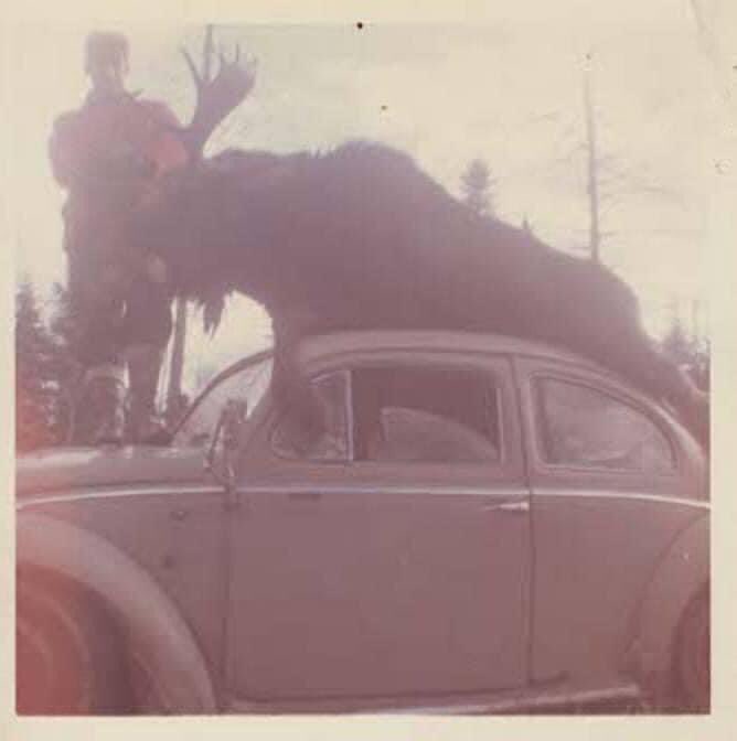 Jason Curtis tweet media