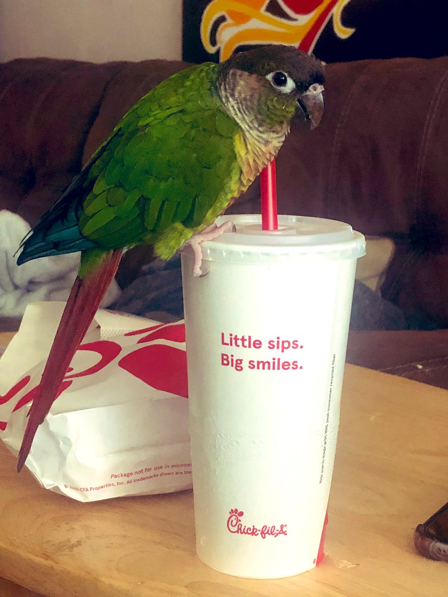 Picasso~GCC tweet media