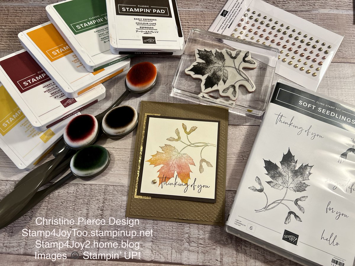 ChristineMsn's tweet photo. October Stamping News - https://t.co/2Gq0DsNTit https://t.co/2T20ySywah